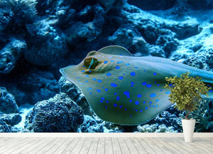 Bluespotted stingray Wall Mural Wallpaper - Canvas Art Rocks - 4