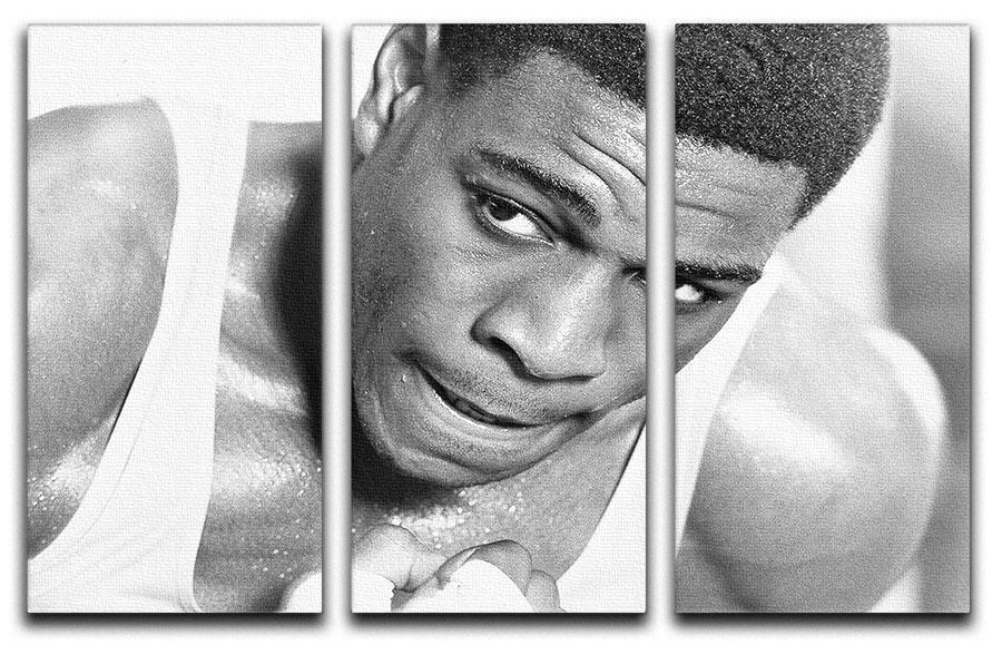 Boxer Frank Bruno 3 Split Panel Canvas Print - Canvas Art Rocks - 1