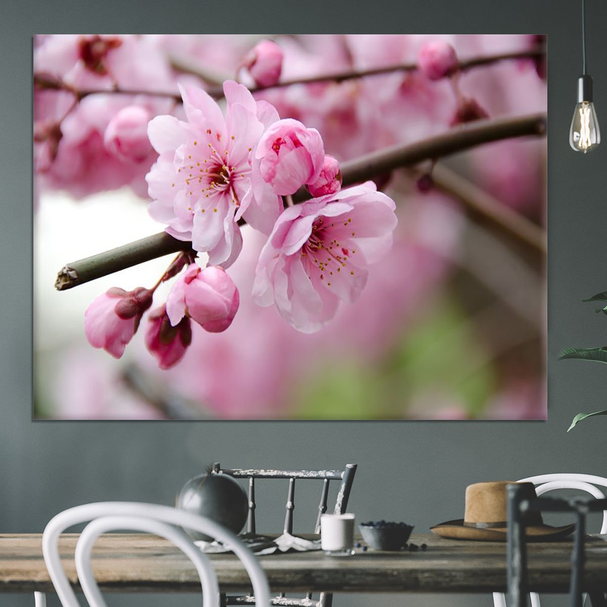 Broken blooming cherry branch Canvas Print or Poster