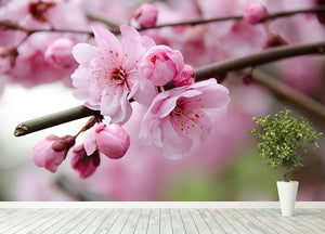 Broken blooming cherry branch Wall Mural Wallpaper - Canvas Art Rocks - 4