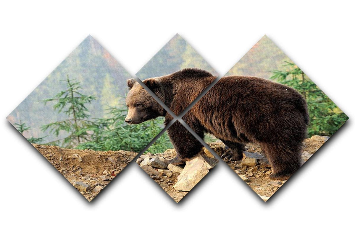 Brown Bear in forest 4 Square Multi Panel Canvas - Canvas Art Rocks - 1