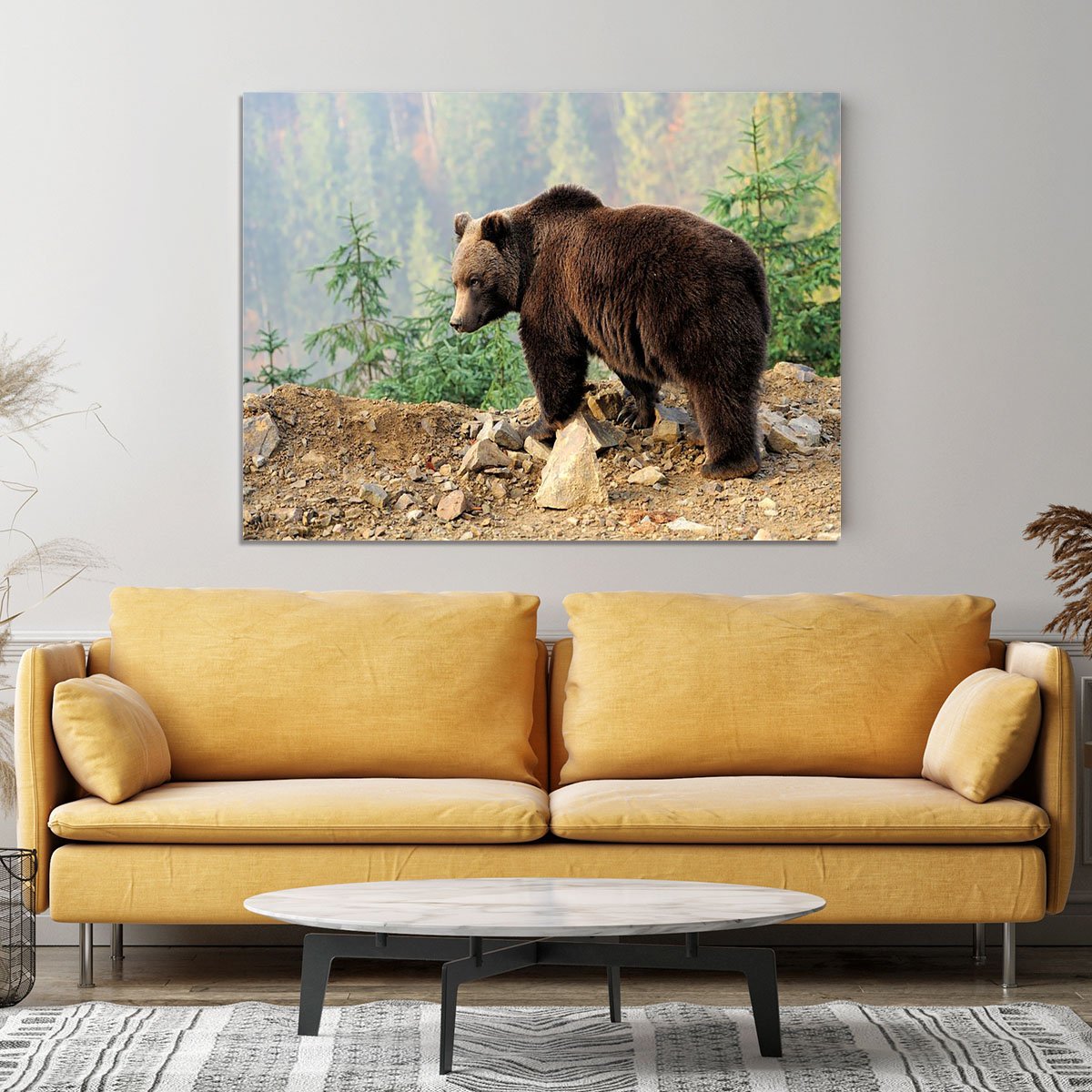 Brown Bear in forest Canvas Print or Poster