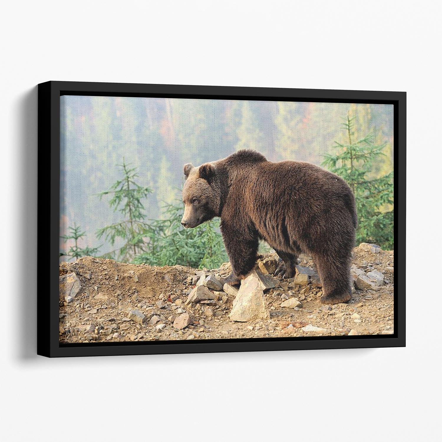 Brown Bear in forest Floating Framed Canvas - Canvas Art Rocks - 1