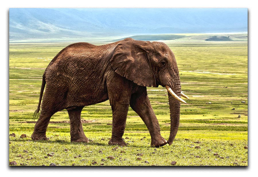 Brown Elephant Print - Canvas Art Rocks - 1