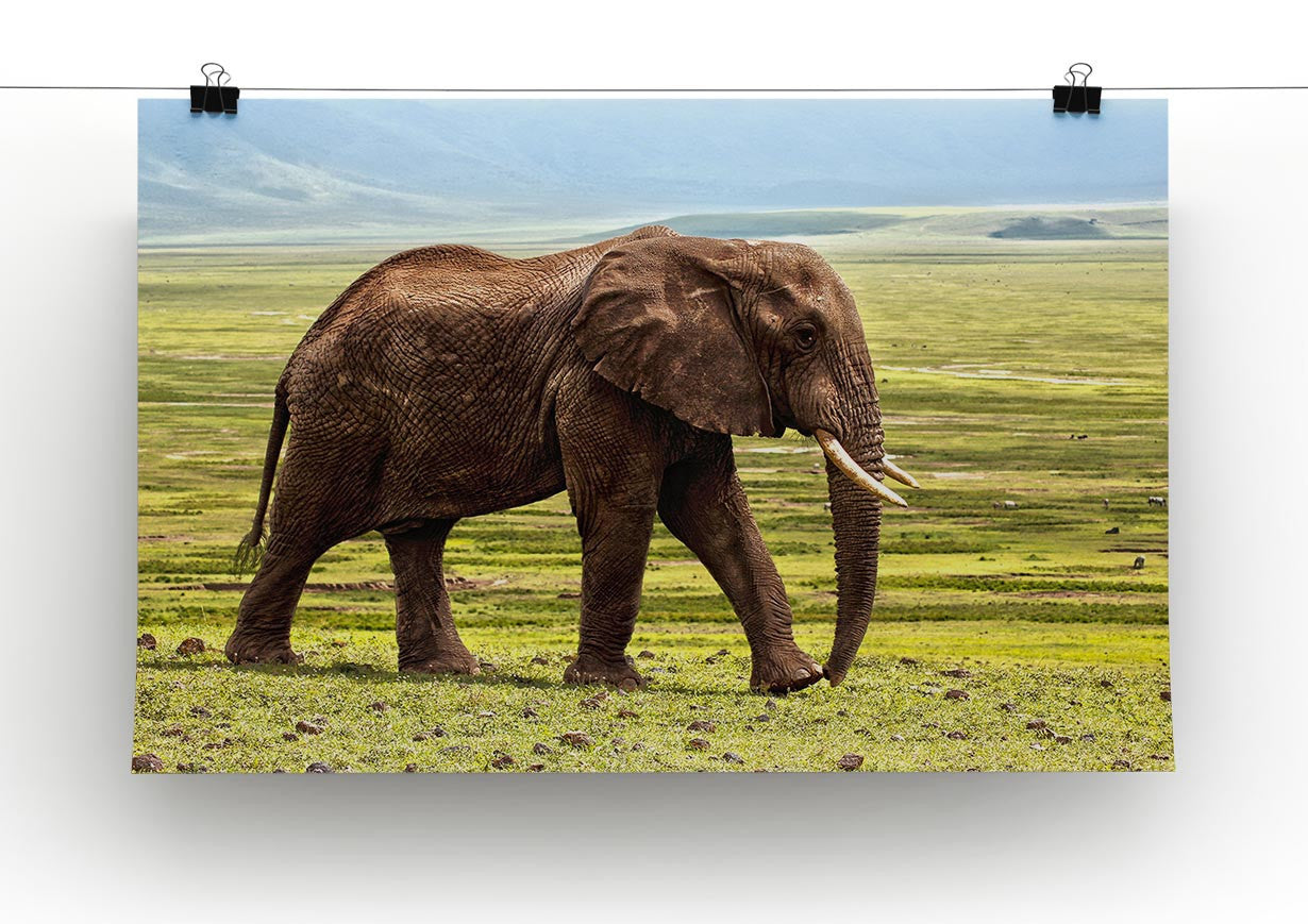 Brown Elephant Print - Canvas Art Rocks - 2