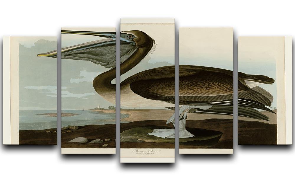 Brown Pelican by Audubon 5 Split Panel Canvas - Canvas Art Rocks - 1
