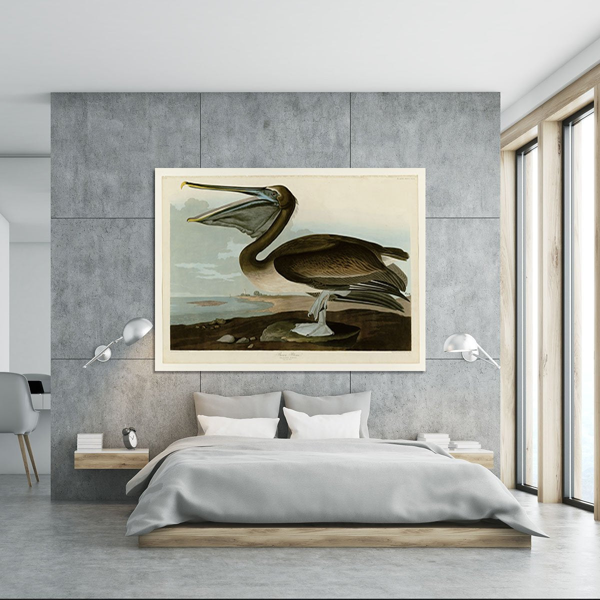 Brown Pelican by Audubon Canvas Print or Poster