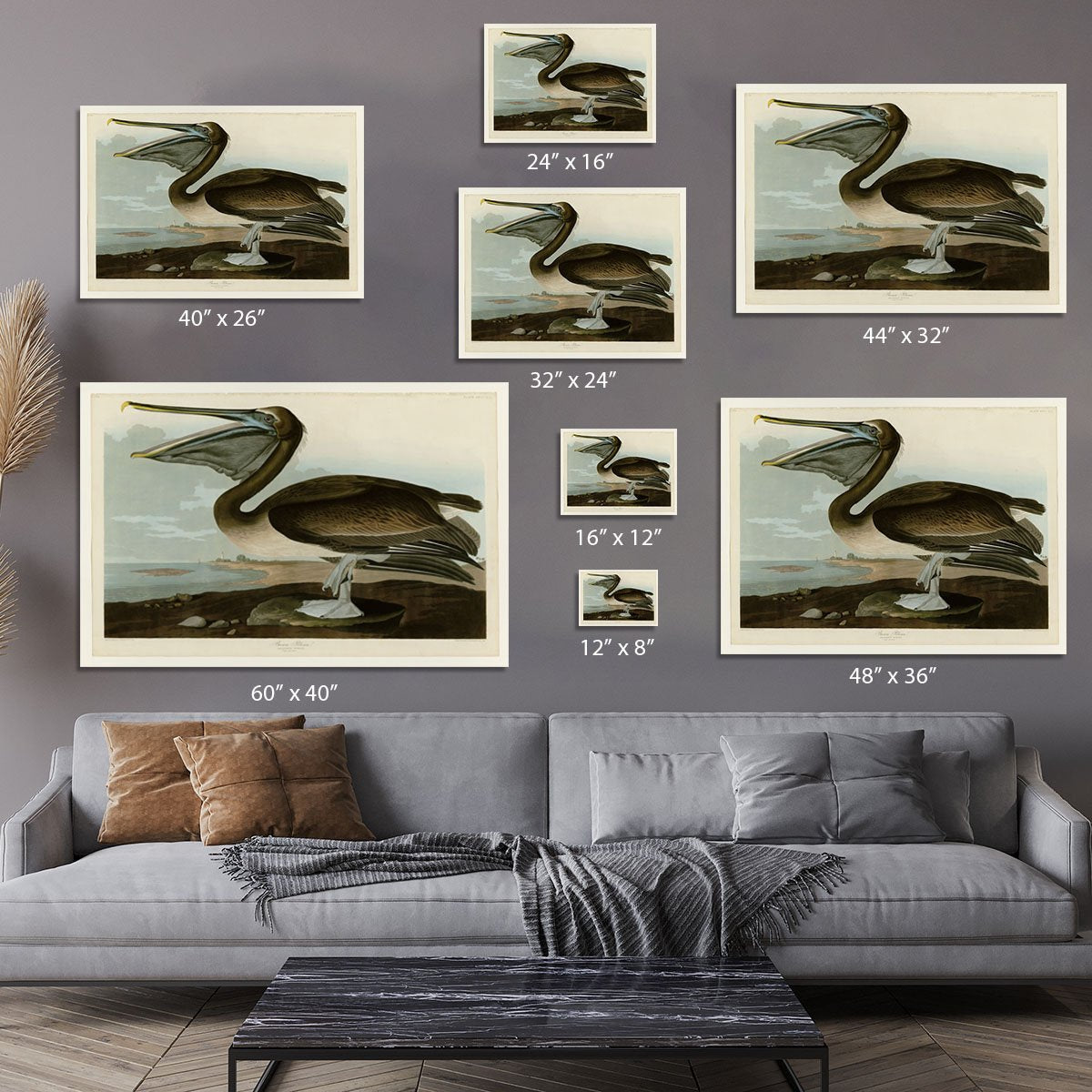 Brown Pelican by Audubon Canvas Print or Poster