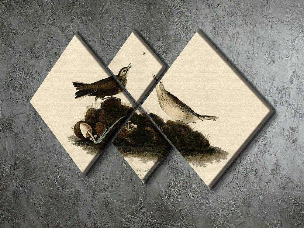 Brown Titlark by Audubon 4 Square Multi Panel Canvas - Canvas Art Rocks - 2