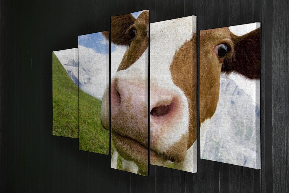 Brown and white cow in the alps 5 Split Panel Canvas - Canvas Art Rocks - 2