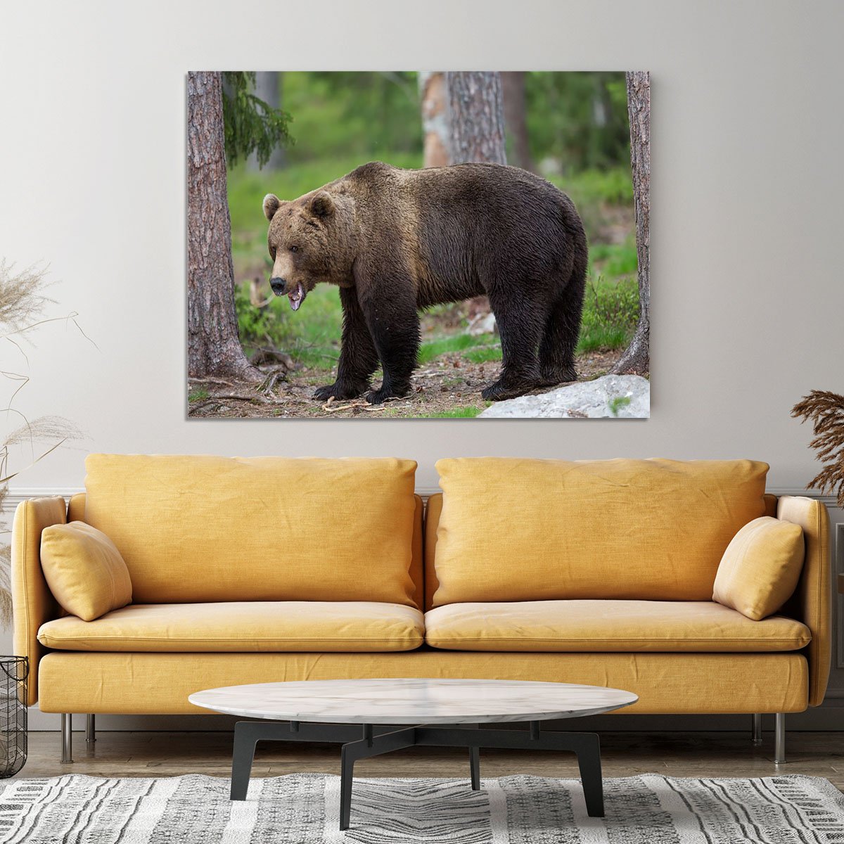 Brown bear in Tiaga forest Canvas Print or Poster
