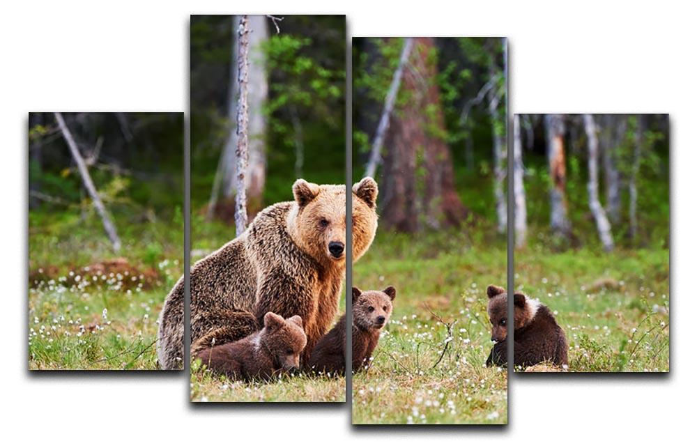 Brown mother bear protecting her cubs 4 Split Panel Canvas - Canvas Art Rocks - 1