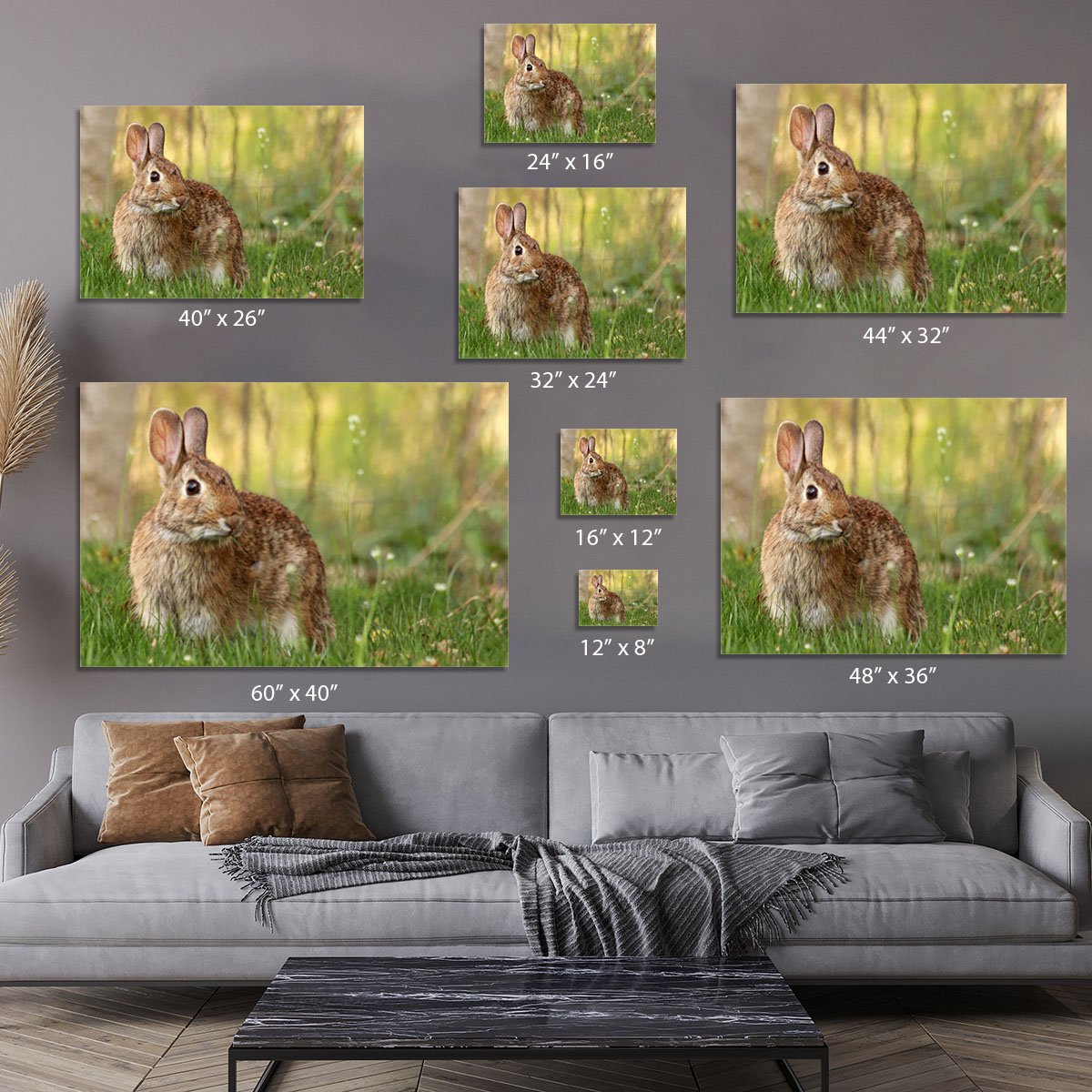 Brown rabbit looking into the camera Canvas Print or Poster