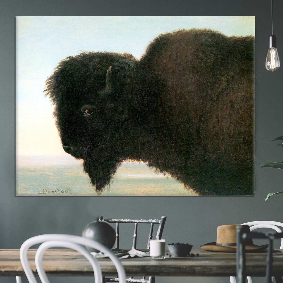 Buffalo Head by Bierstadt Canvas Print or Poster