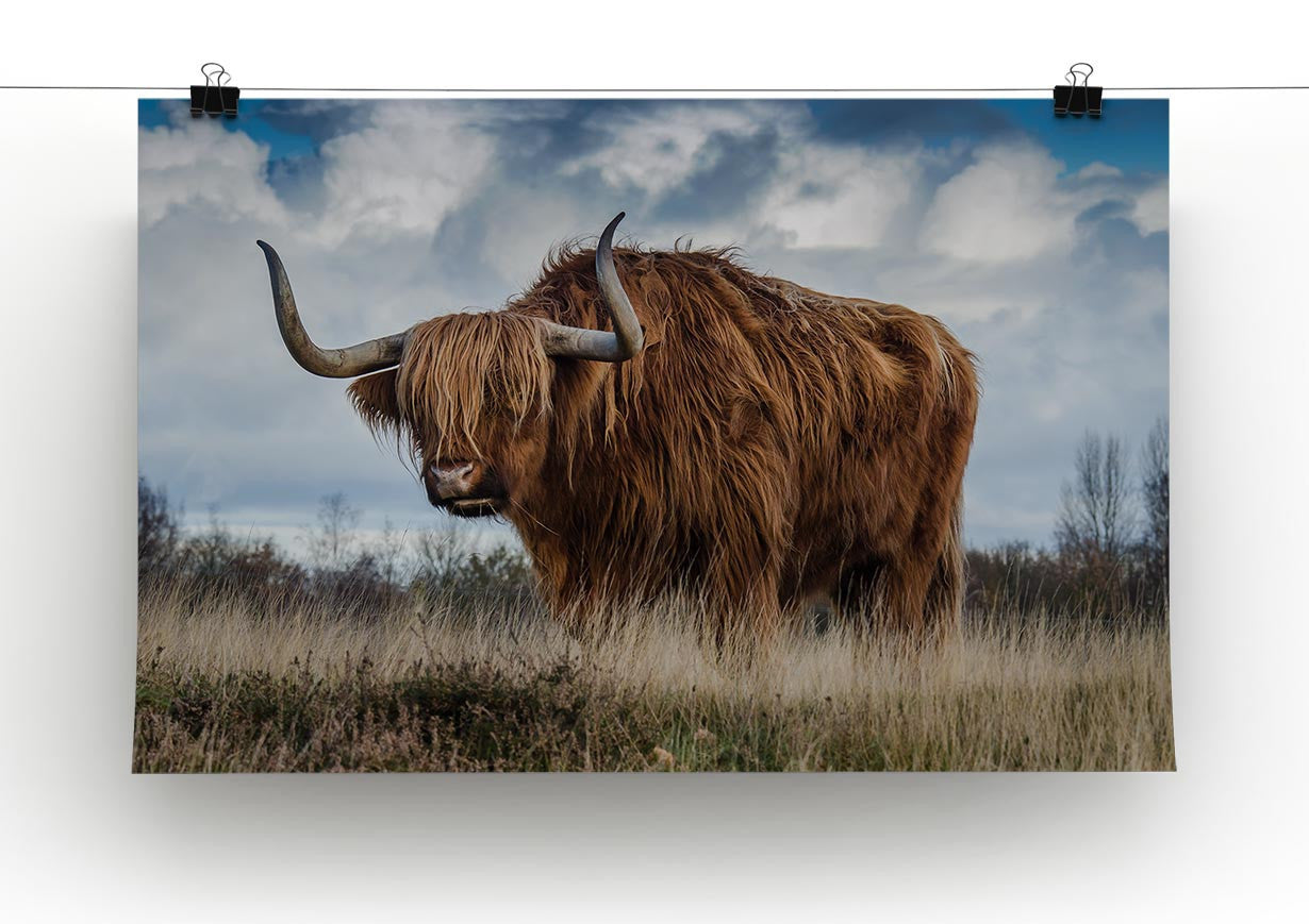 Bull Print - Canvas Art Rocks - 2