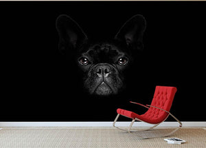Bulldog dog Wall Mural Wallpaper - Canvas Art Rocks - 2
