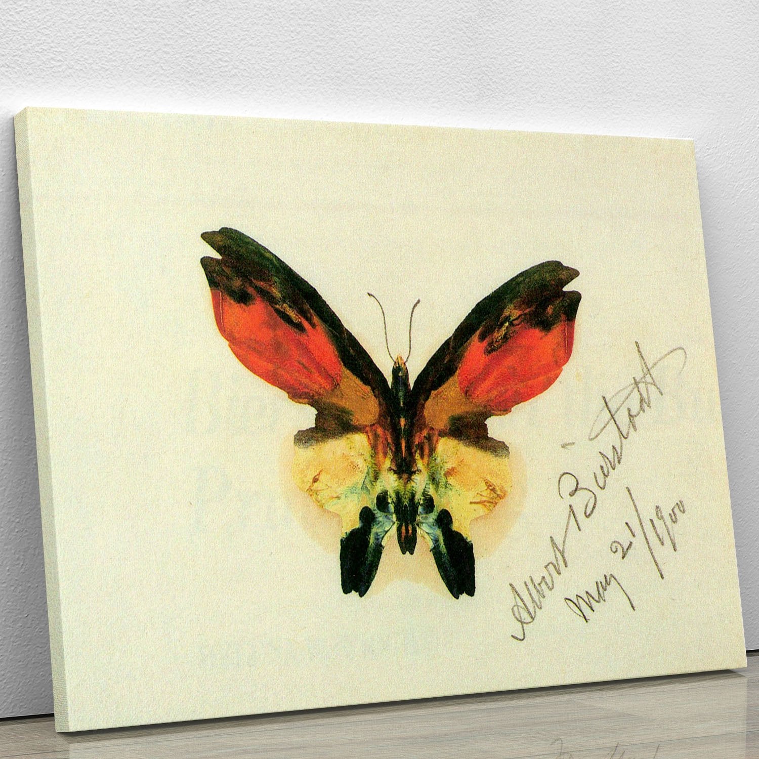Butterfly 2 by Bierstadt Canvas Print or Poster