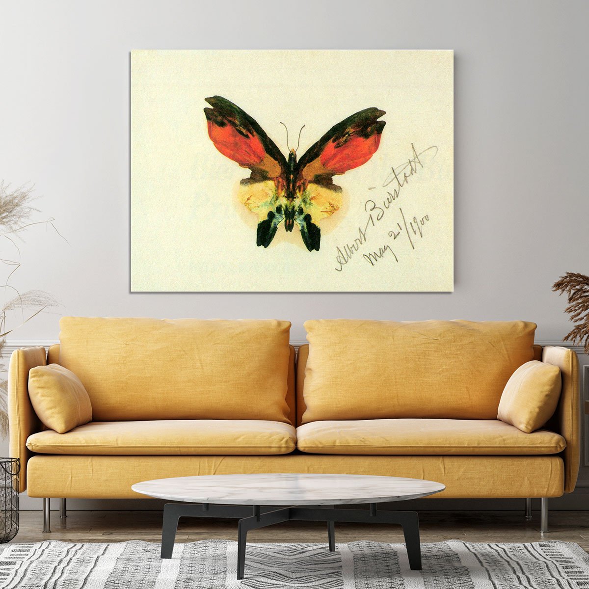 Butterfly 2 by Bierstadt Canvas Print or Poster