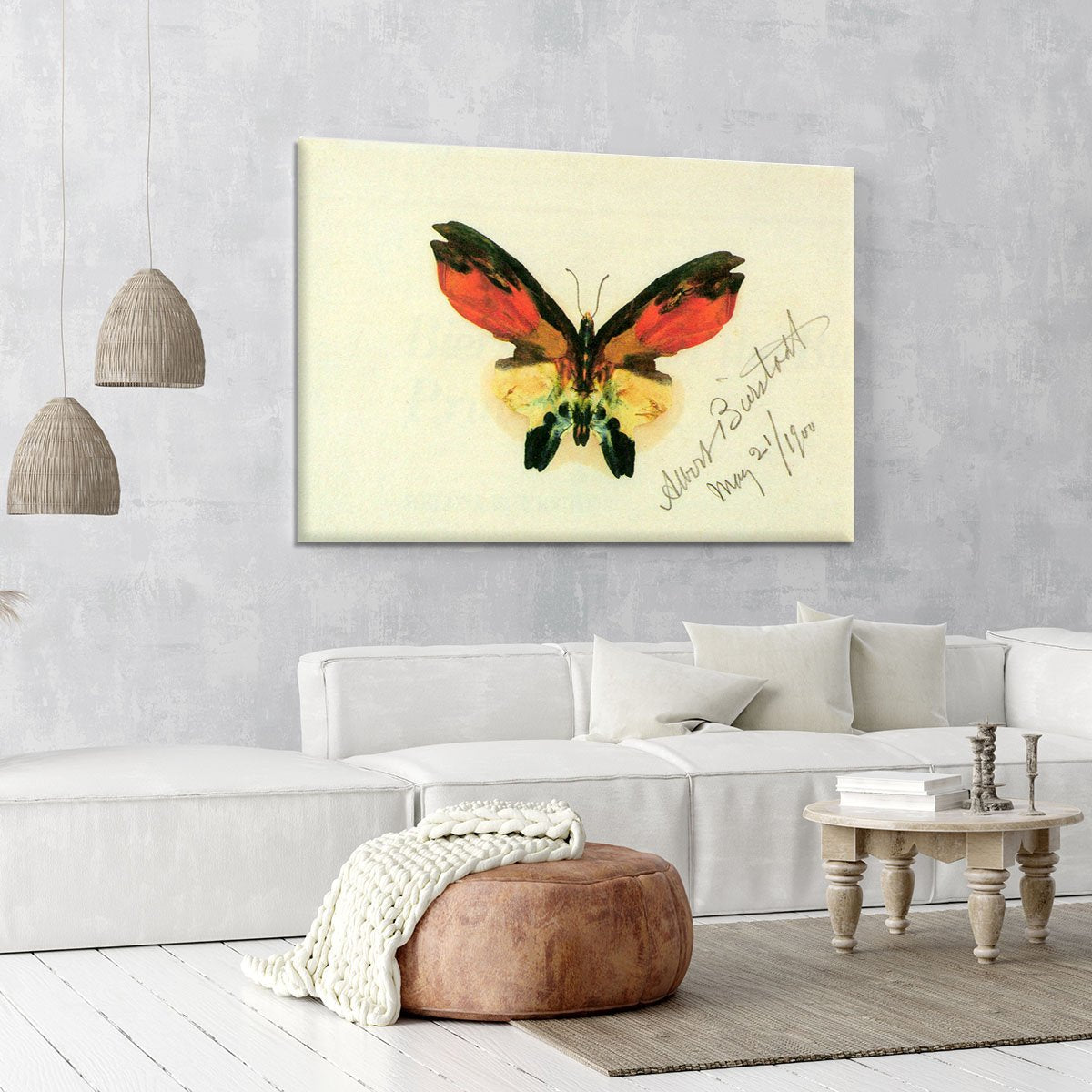 Butterfly 2 by Bierstadt Canvas Print or Poster