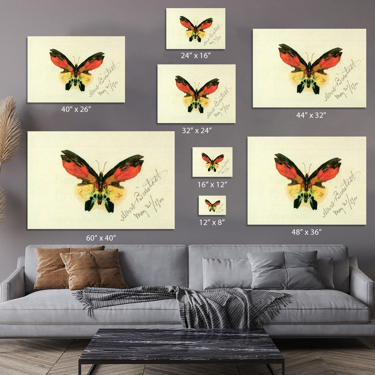 Butterfly 2 by Bierstadt Canvas Print or Poster