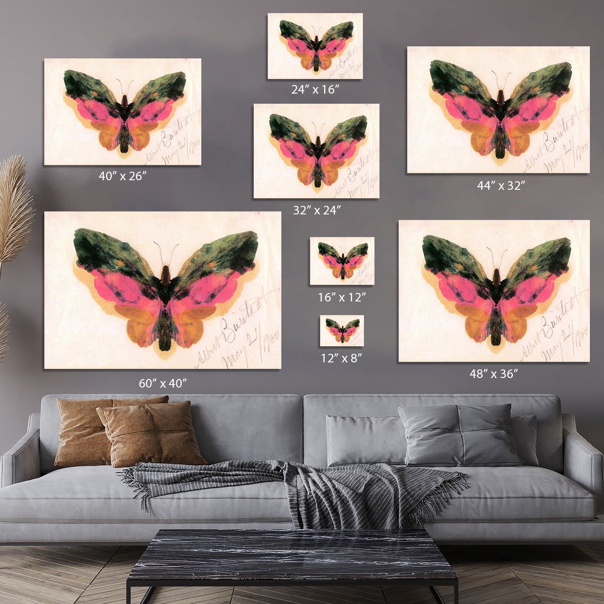 Butterfly by Bierstadt Canvas Print or Poster