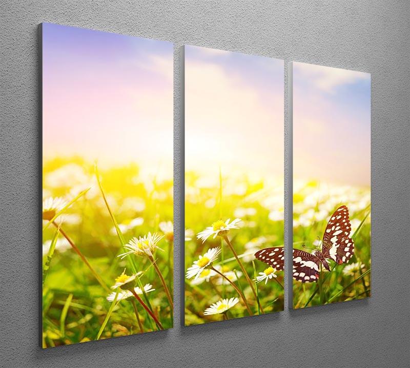 Butterfly on a daisy field 3 Split Panel Canvas Print - Canvas Art Rocks - 2