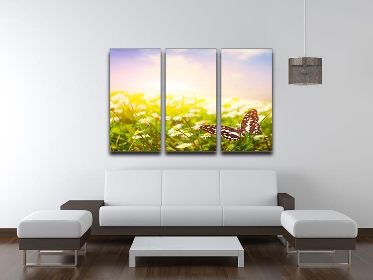 Butterfly on a daisy field 3 Split Panel Canvas Print - Canvas Art Rocks - 3