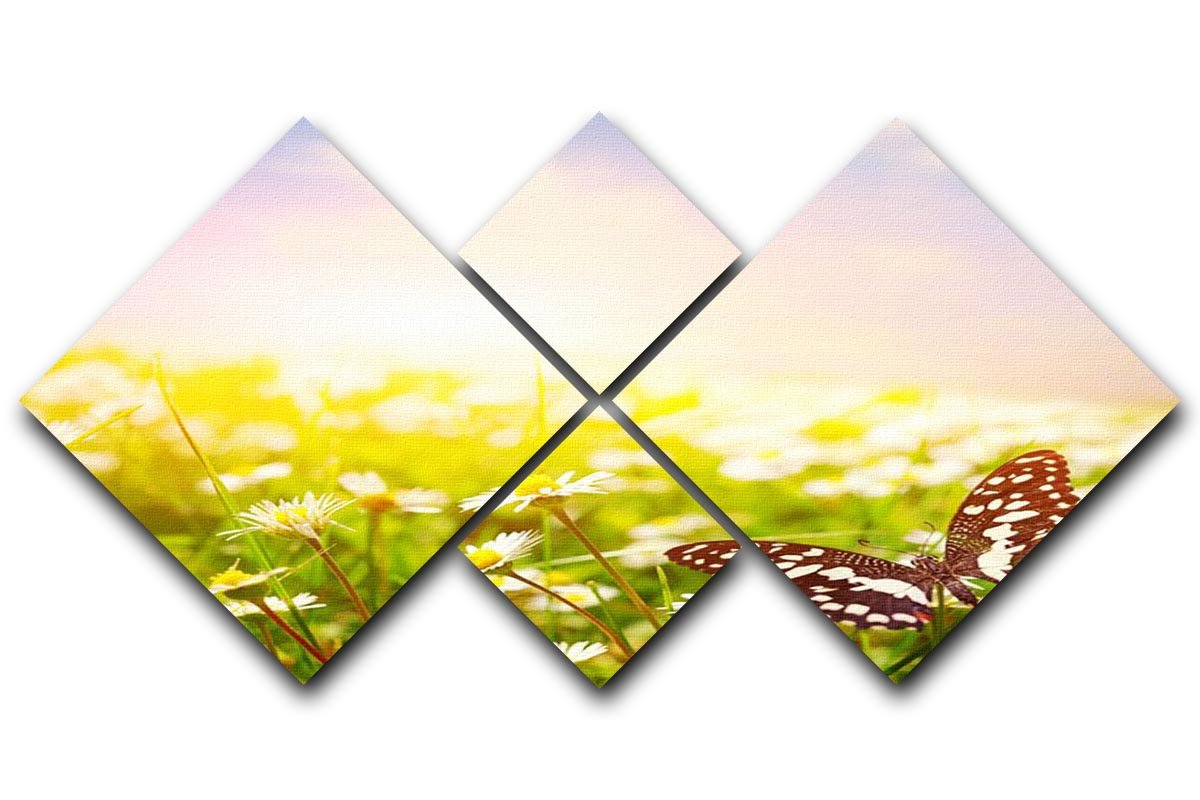 Butterfly on a daisy field 4 Square Multi Panel Canvas - Canvas Art Rocks - 1