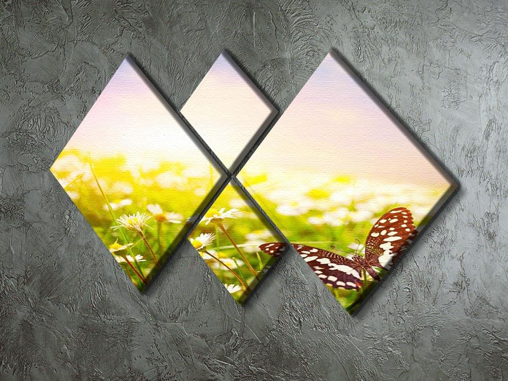 Butterfly on a daisy field 4 Square Multi Panel Canvas - Canvas Art Rocks - 2