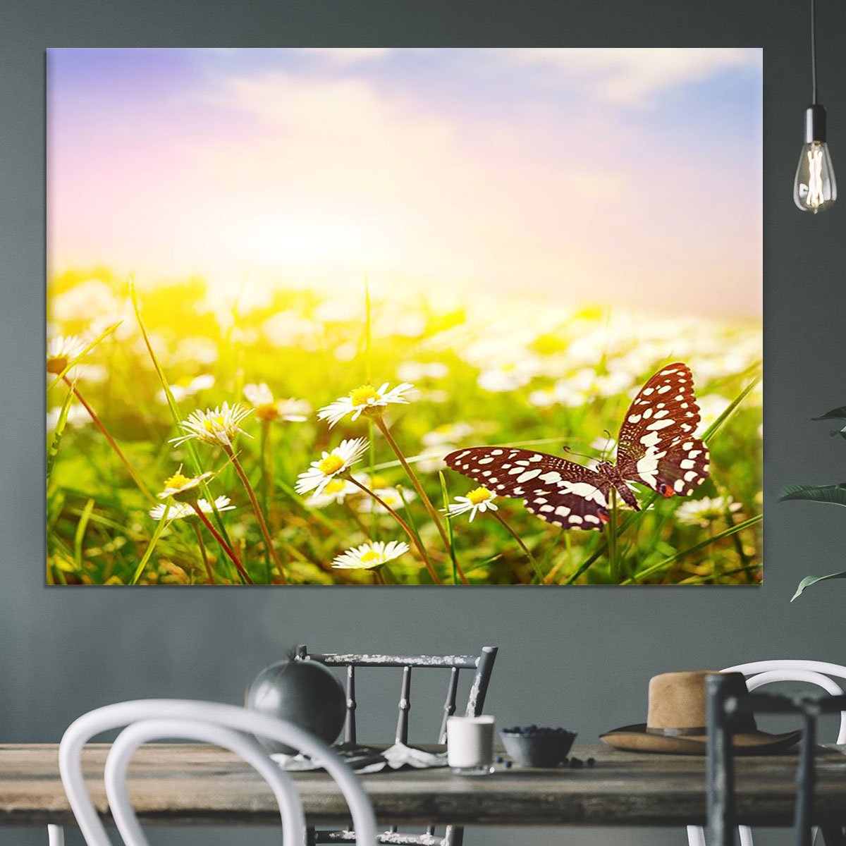 Butterfly on a daisy field Canvas Print or Poster