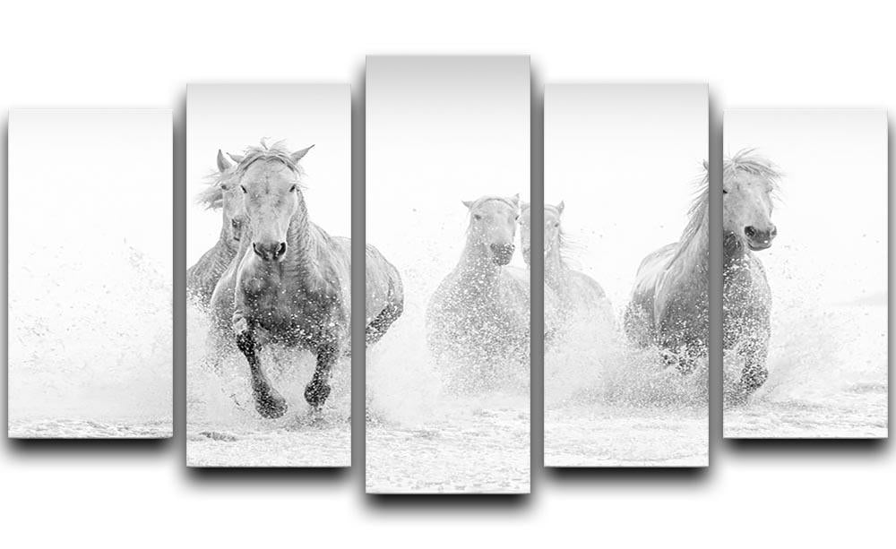 Camargue Horses running 5 Split Panel Canvas - Canvas Art Rocks - 1