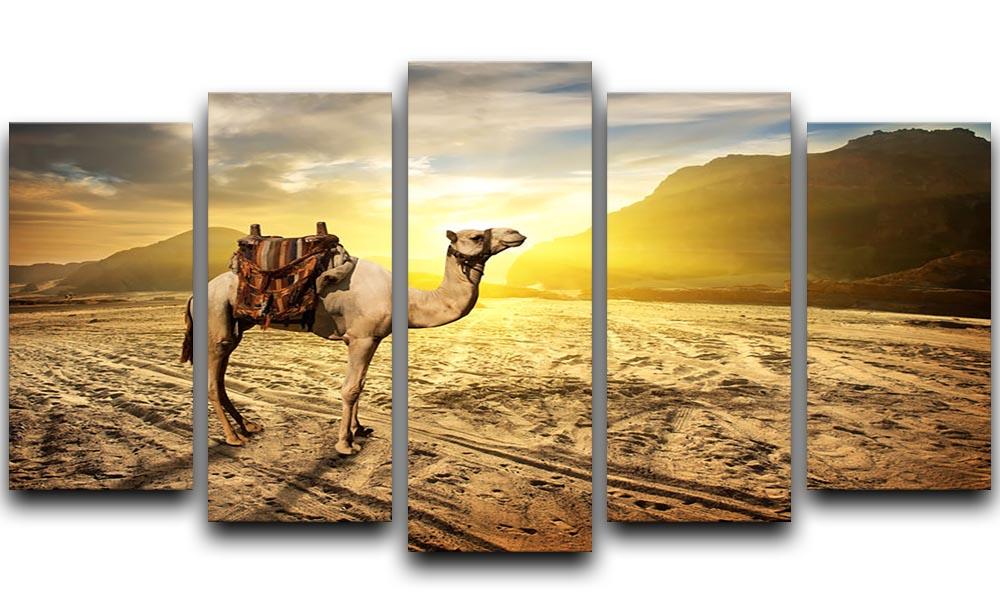 Camel in sandy desert near mountains at sunset 5 Split Panel Canvas - Canvas Art Rocks - 1