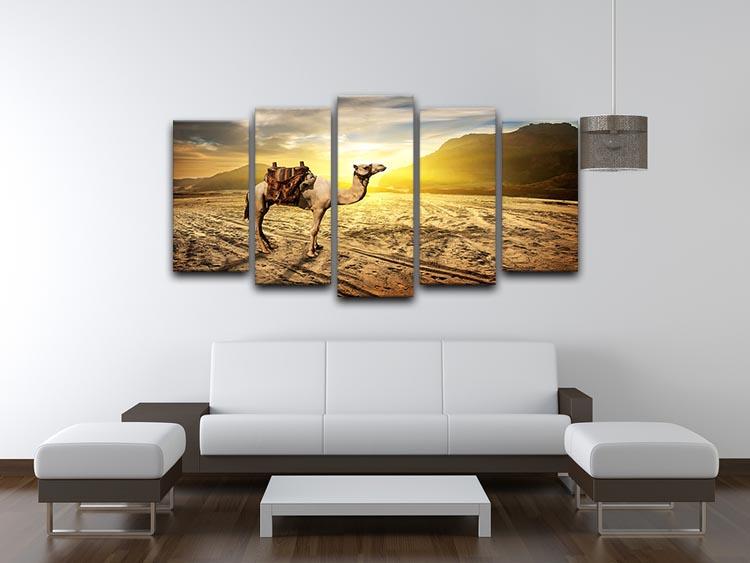 Camel in sandy desert near mountains at sunset 5 Split Panel Canvas - Canvas Art Rocks - 3