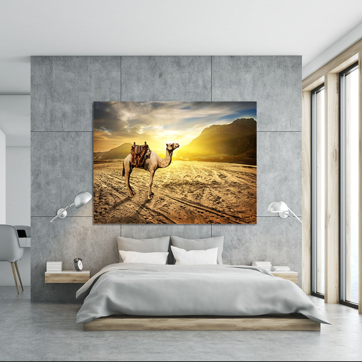 Camel in sandy desert near mountains at sunset Canvas Print or Poster