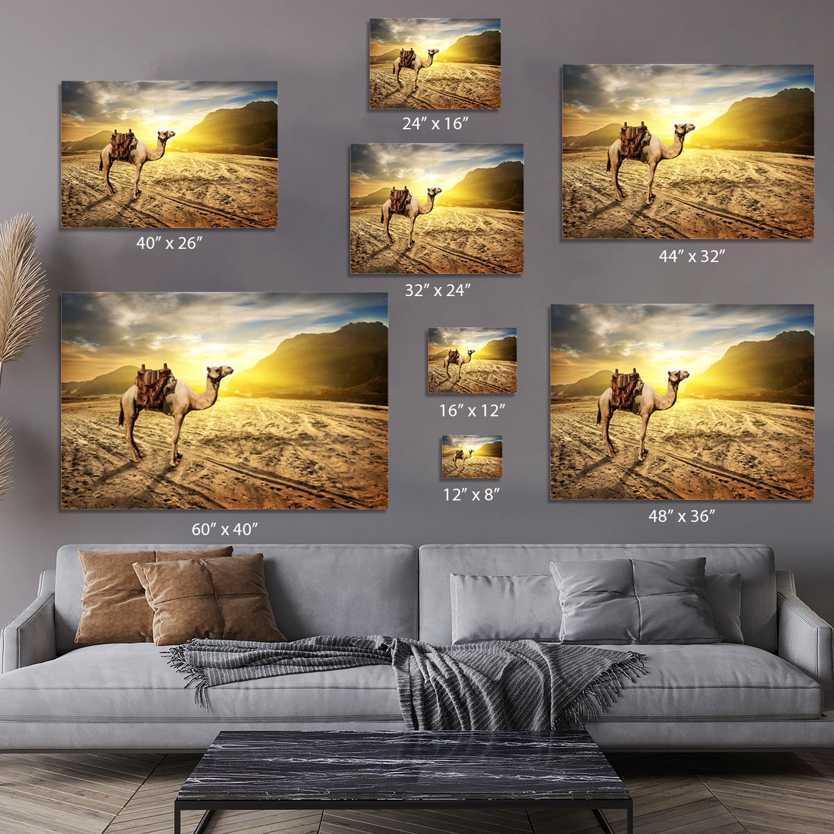 Camel in sandy desert near mountains at sunset Canvas Print or Poster
