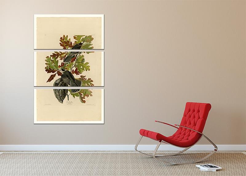 Canada Jay by Audubon 3 Split Panel Canvas Print - Canvas Art Rocks - 2