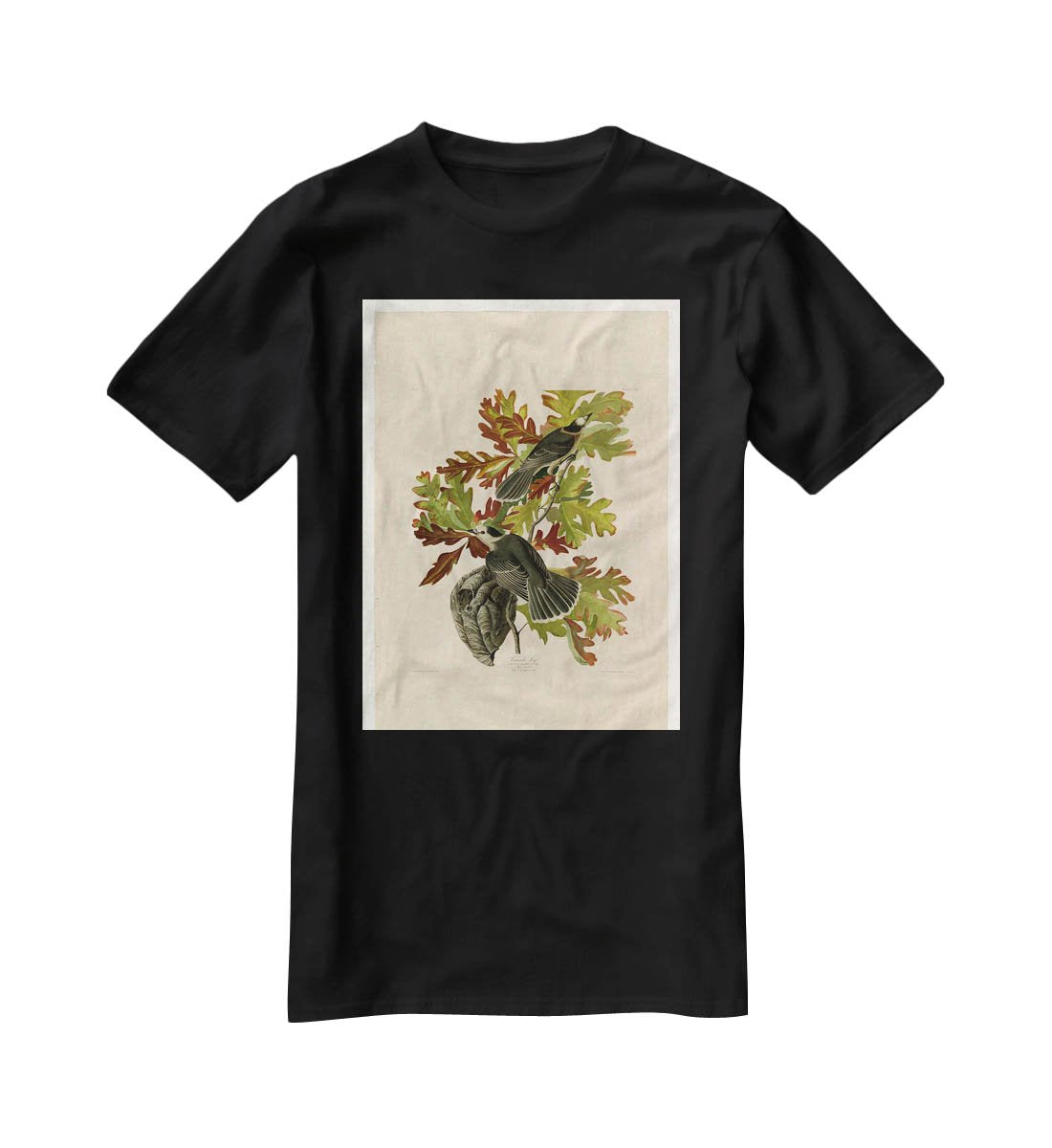 Canada Jay by Audubon T-Shirt - Canvas Art Rocks - 1