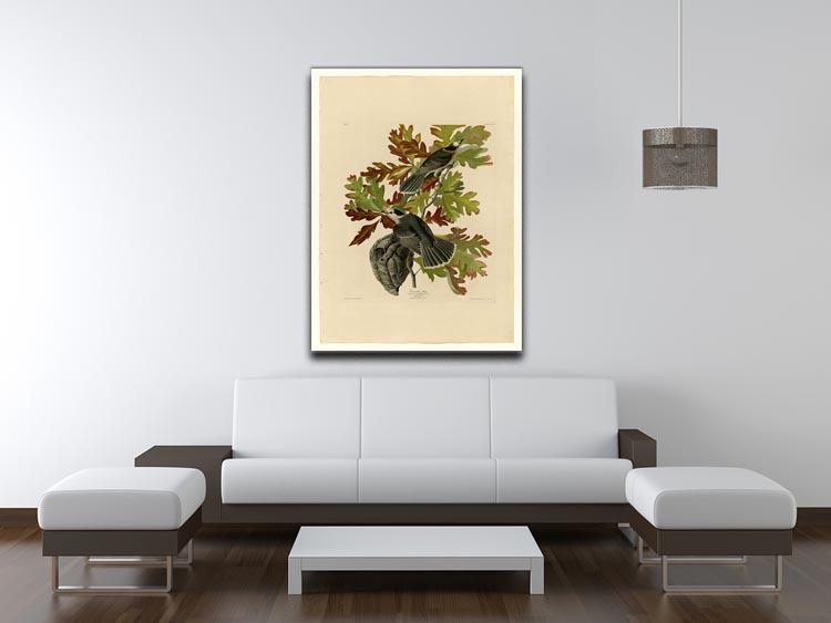 Canada Jay by Audubon Canvas Print or Poster - Canvas Art Rocks - 4