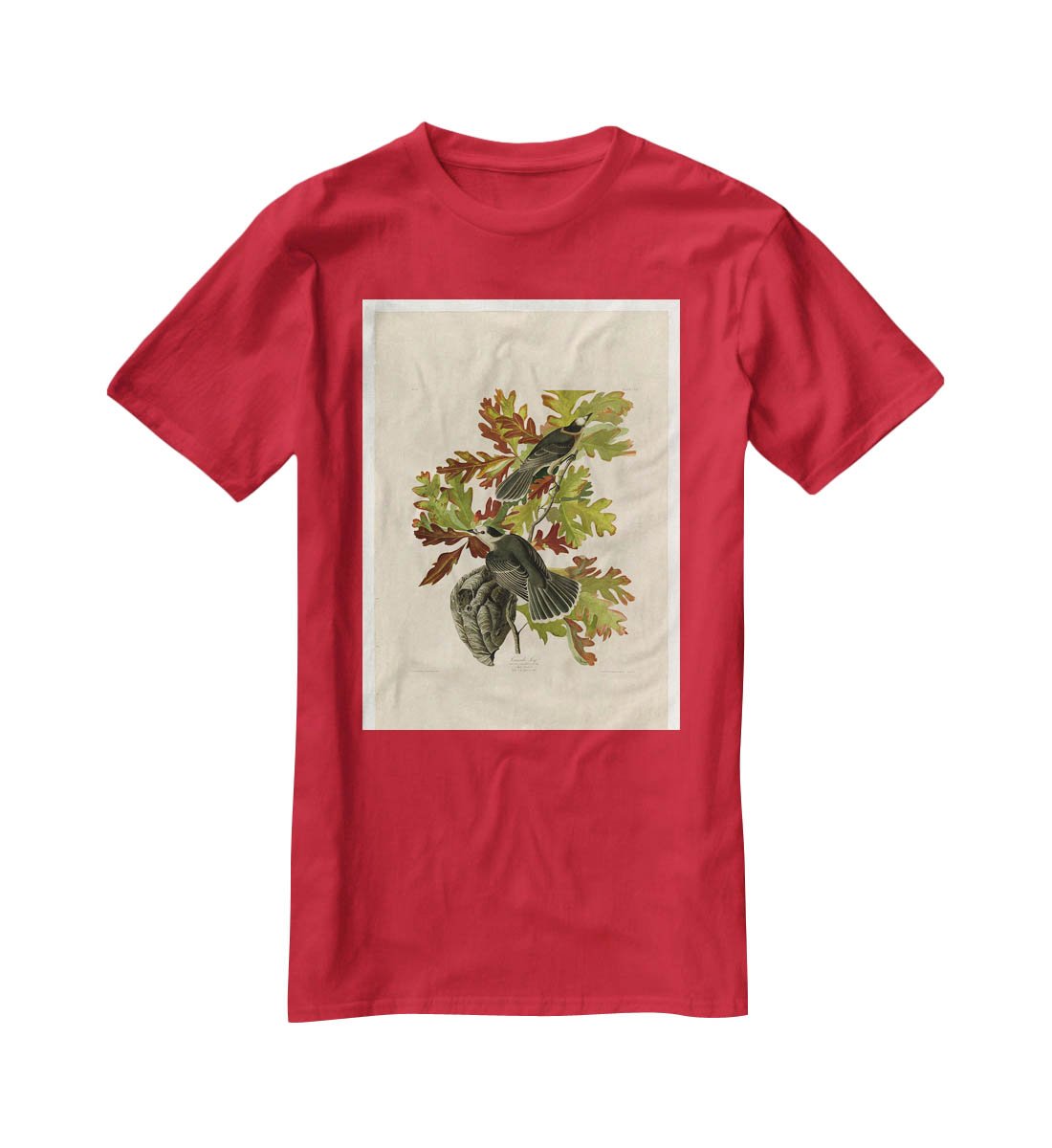 Canada Jay by Audubon T-Shirt - Canvas Art Rocks - 4