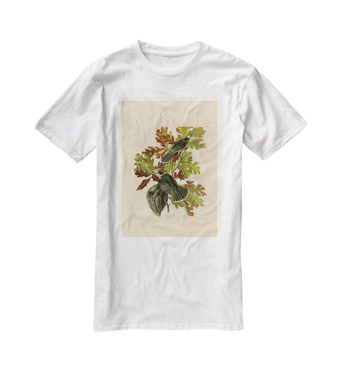 Canada Jay by Audubon T-Shirt - Canvas Art Rocks - 5
