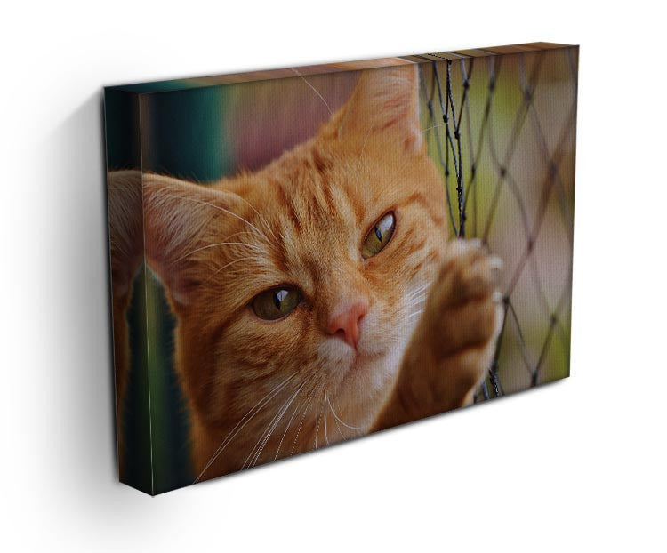 Cat Print - Canvas Art Rocks - 3