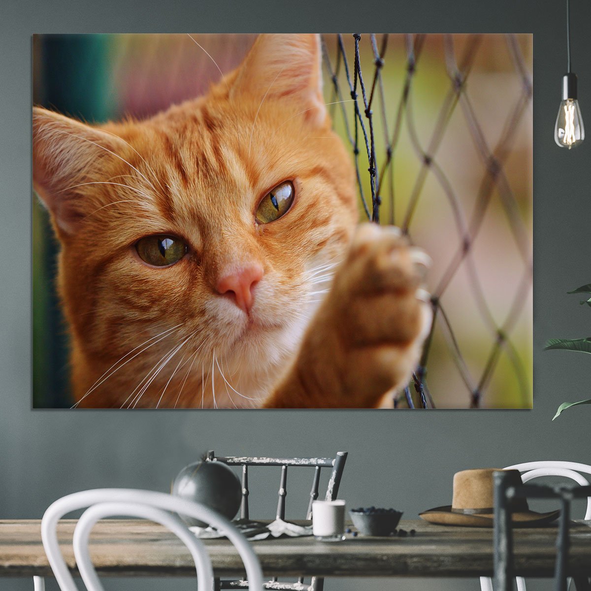 Cat Canvas Print or Poster