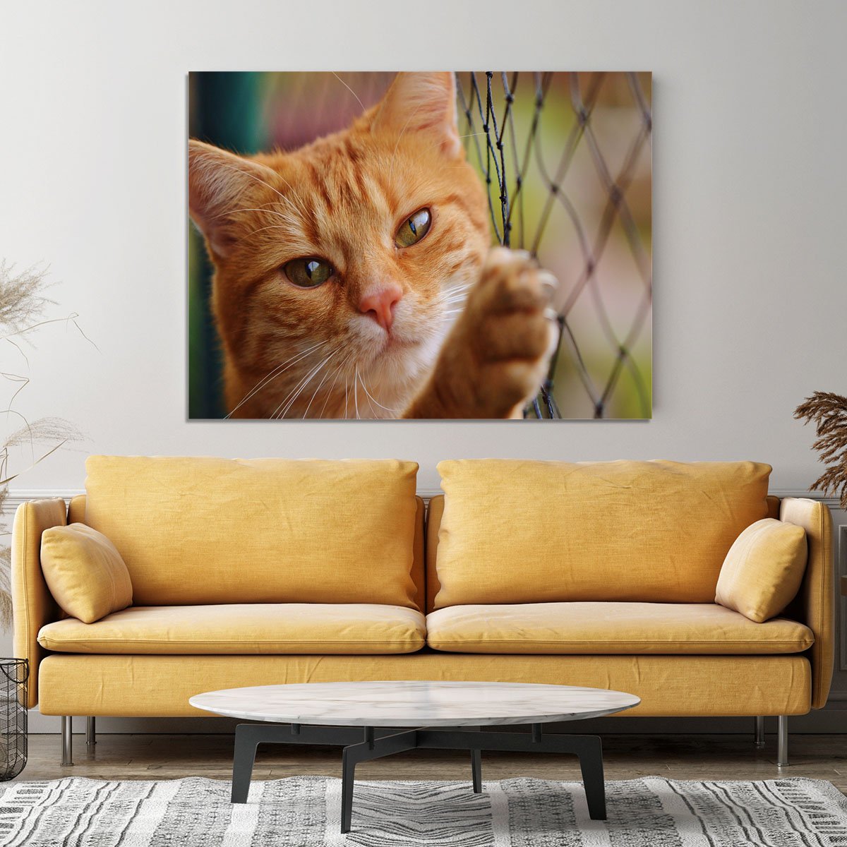Cat Canvas Print or Poster