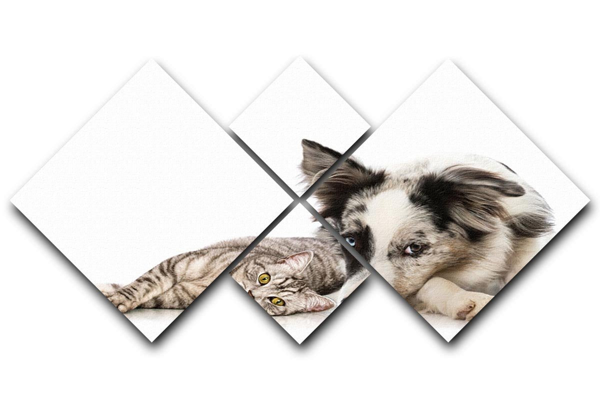 Cat and dog 4 Square Multi Panel Canvas - Canvas Art Rocks - 1
