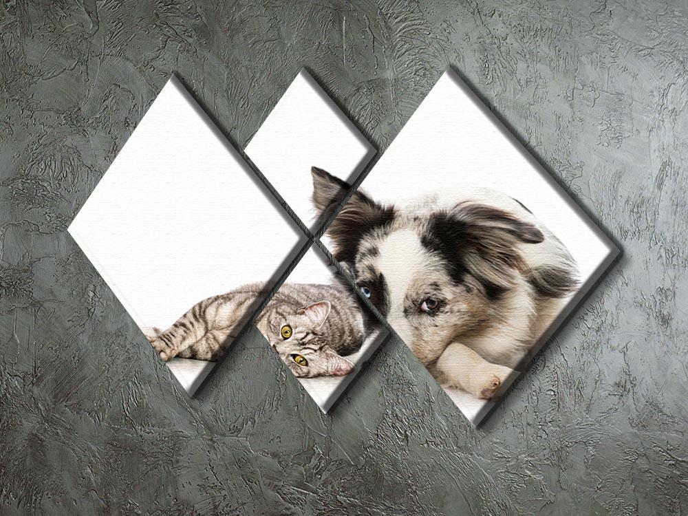 Cat and dog 4 Square Multi Panel Canvas - Canvas Art Rocks - 2