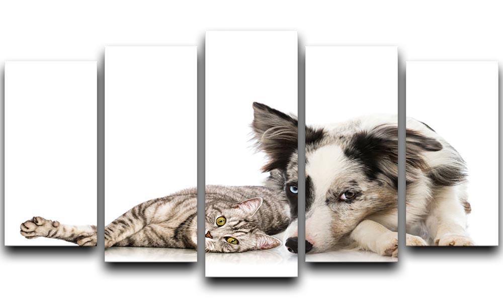 Cat and dog 5 Split Panel Canvas - Canvas Art Rocks - 1