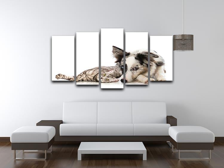 Cat and dog 5 Split Panel Canvas - Canvas Art Rocks - 3