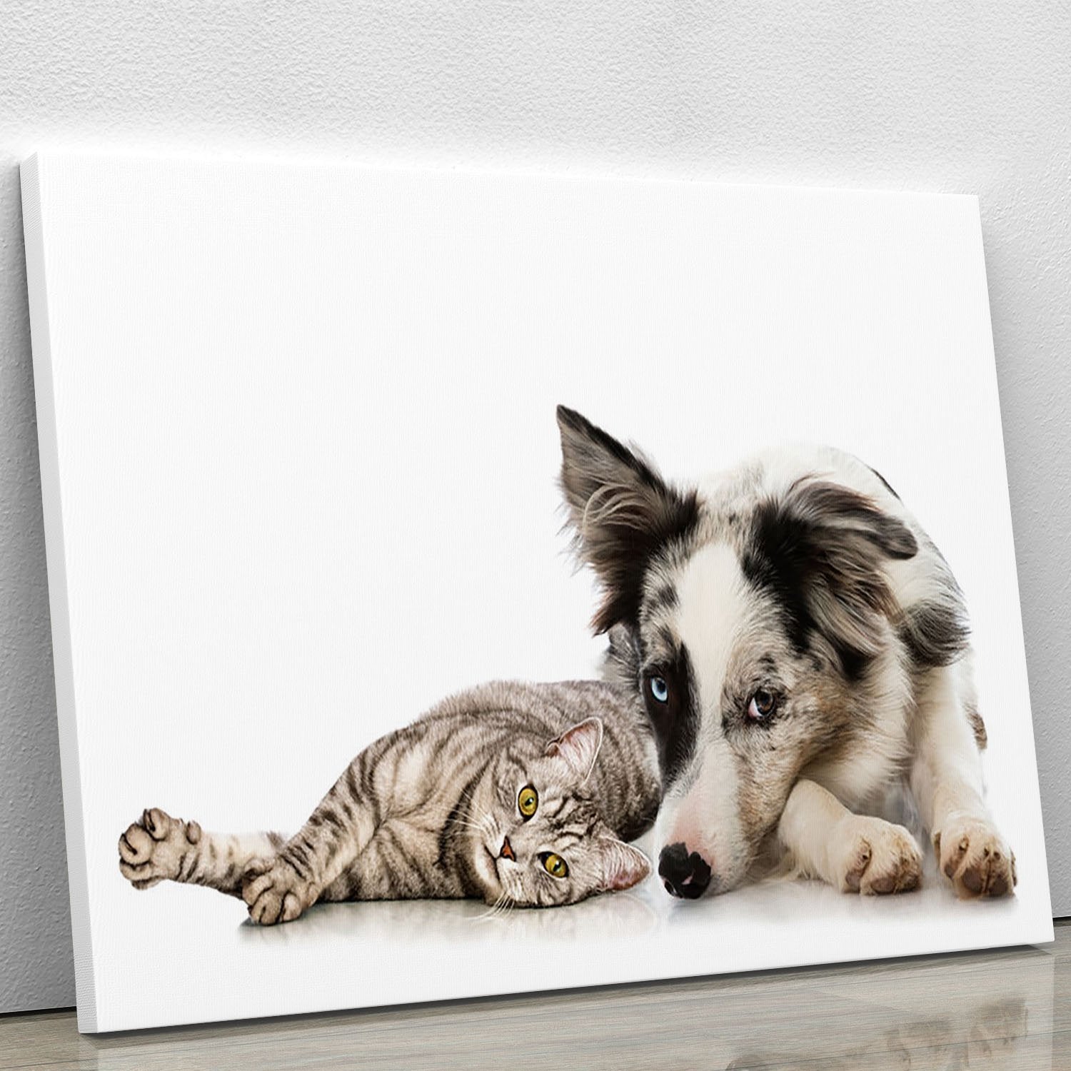 Cat and dog Canvas Print or Poster