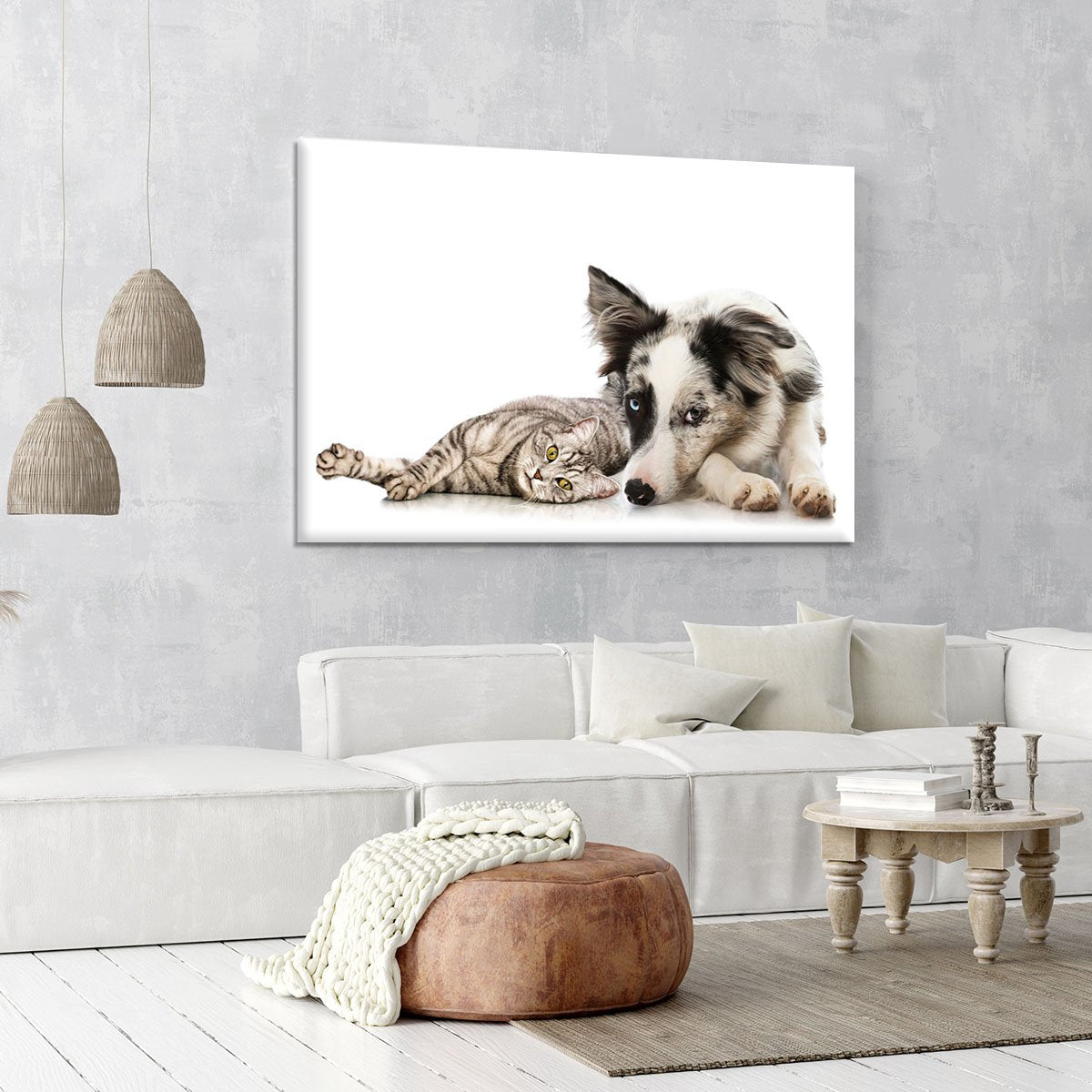 Cat and dog Canvas Print or Poster