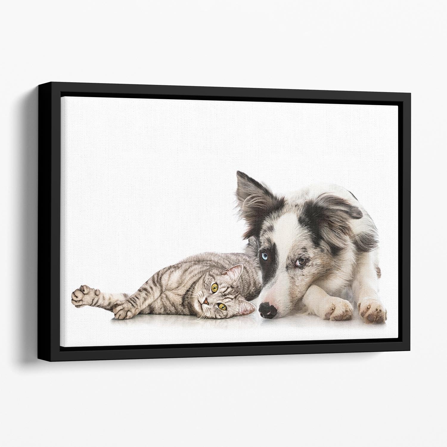 Cat and dog Floating Framed Canvas - Canvas Art Rocks - 1
